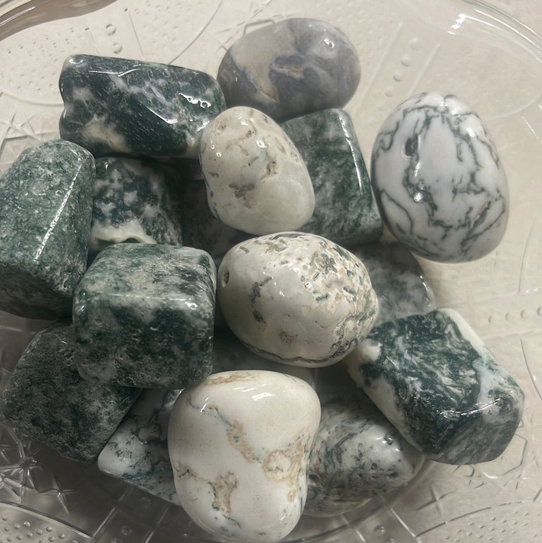 Tree agate