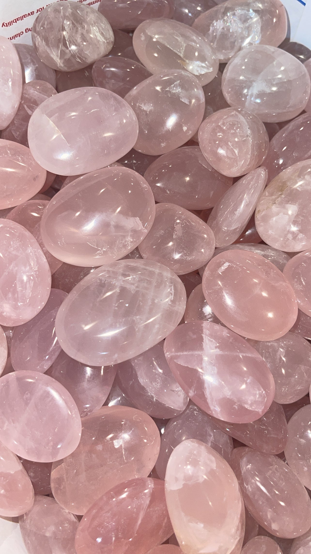 Rose Quartz Small Palm Stone 1 lb