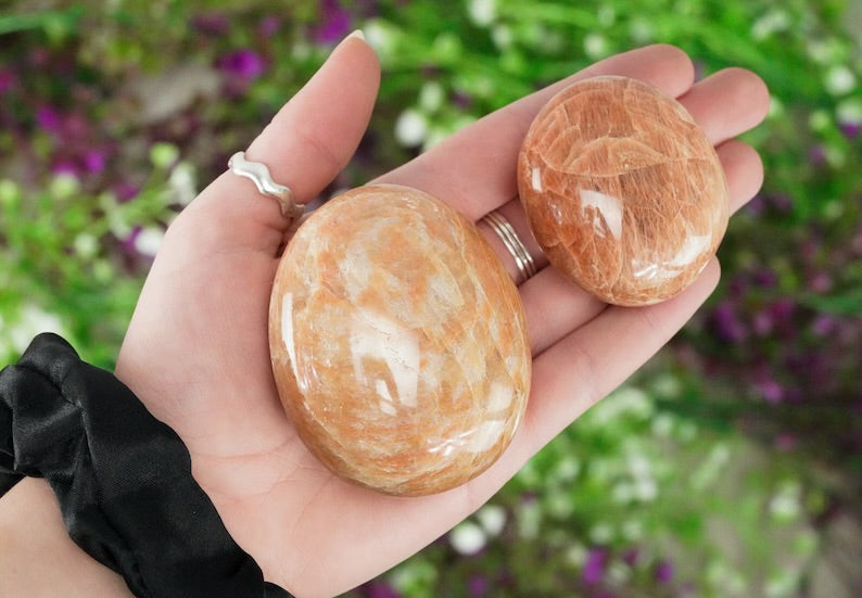 Orange Moonstone Palm 1 lb