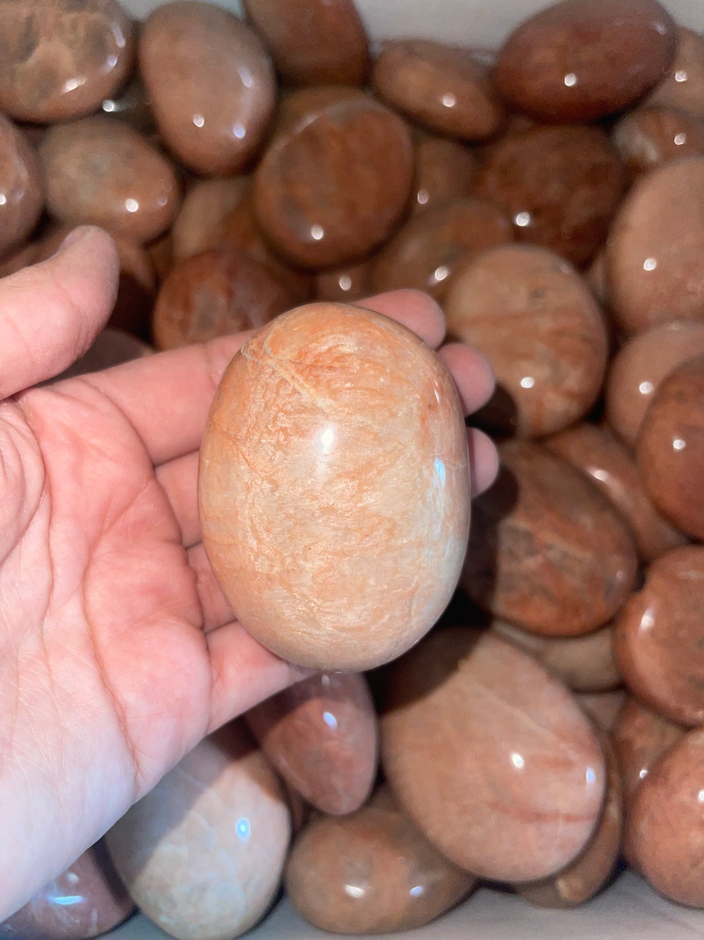 Orange Moonstone Palm 1 lb