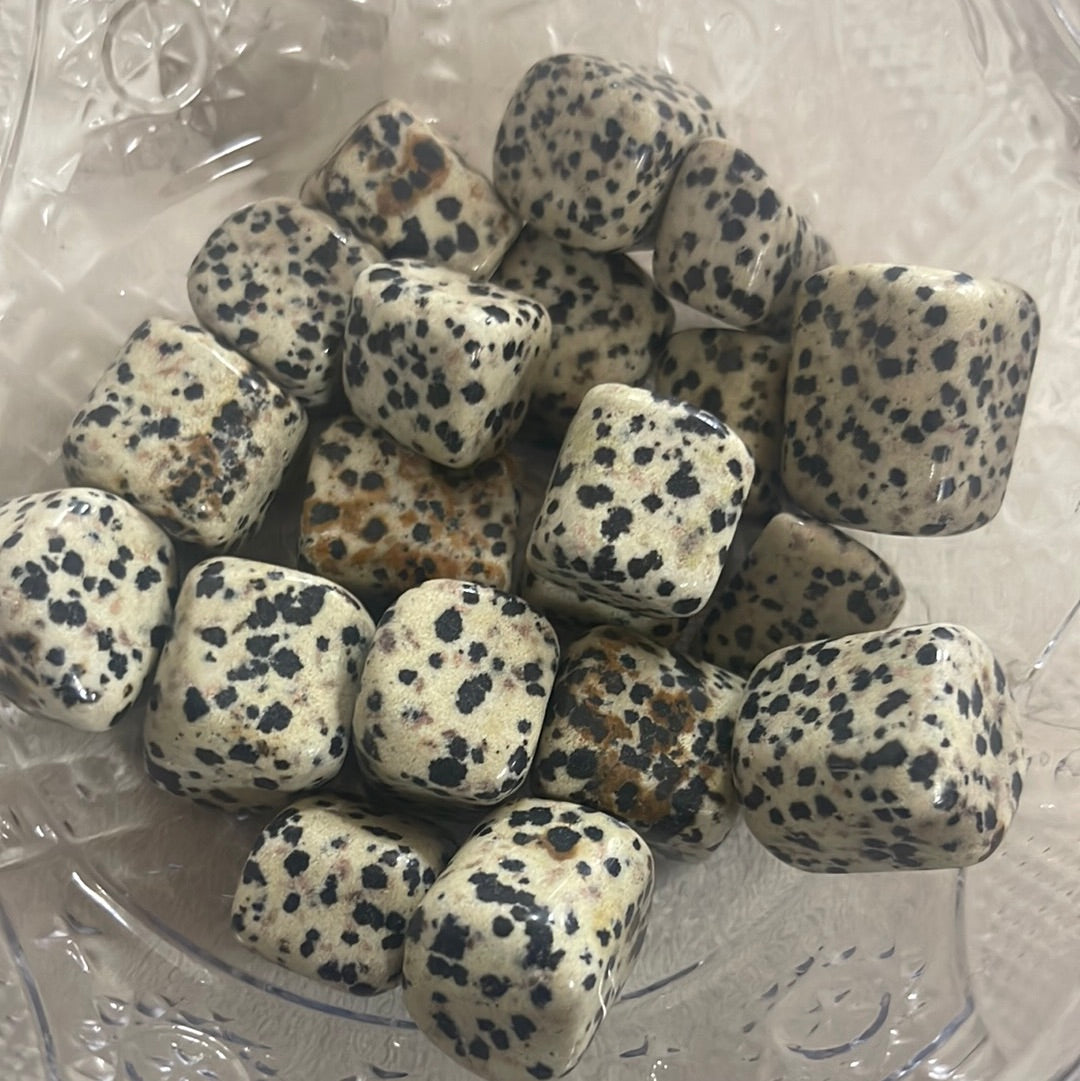 Dalmatian Jasper