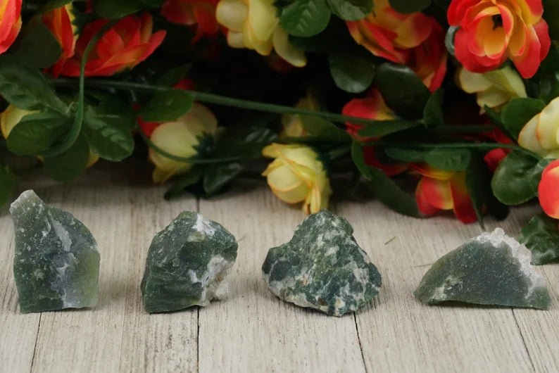 Rough Tree Agate 1 lb