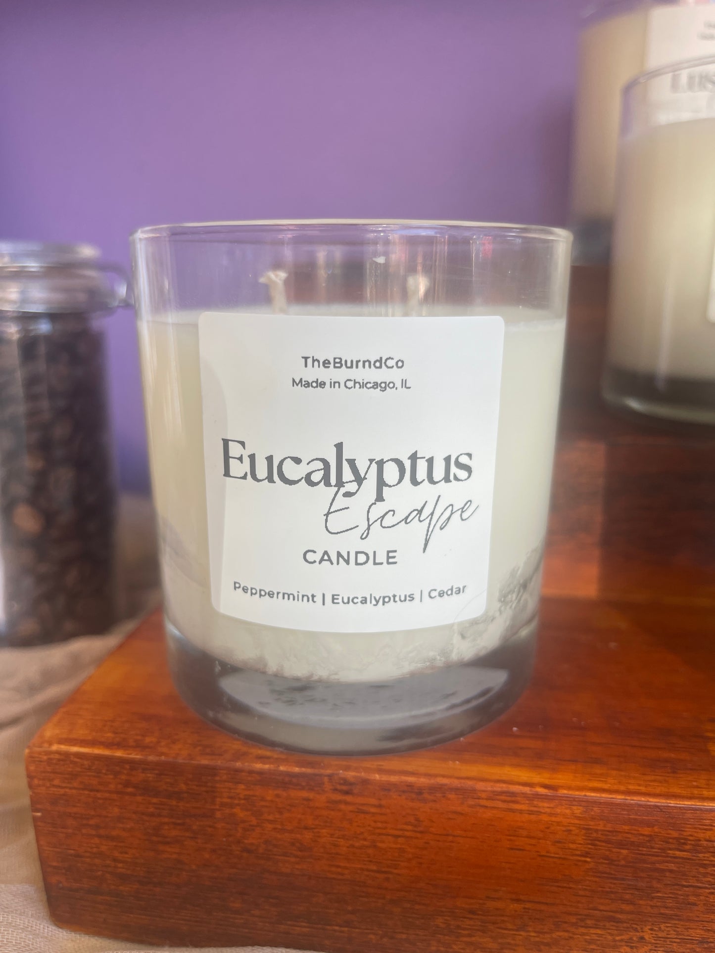 @theburndco Eucalyptus Escape Candle