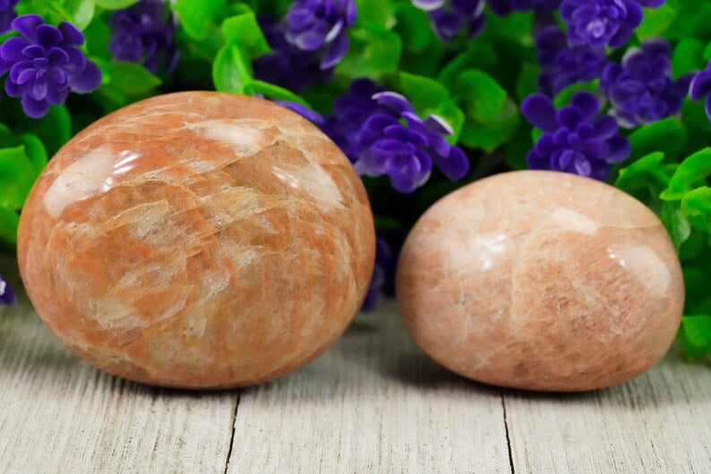 Orange Moonstone Palm 1 lb