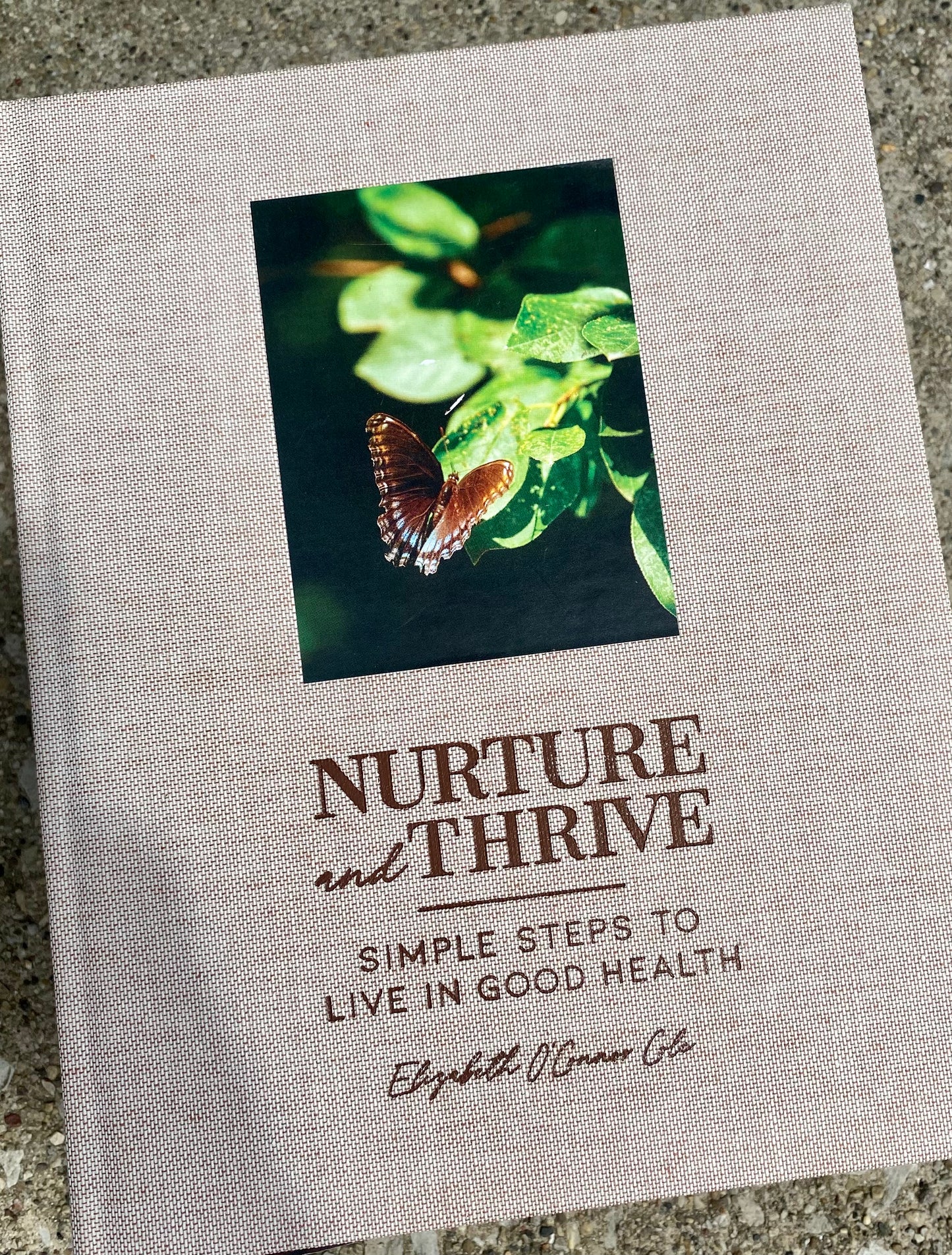 Nurture and Thriving @ravn.wickd