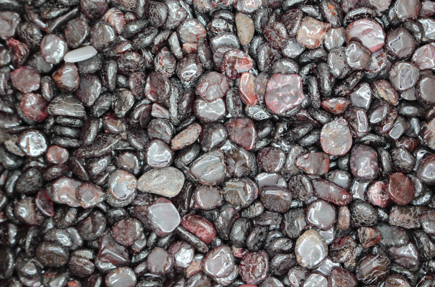 Garnet 1 oz Chips