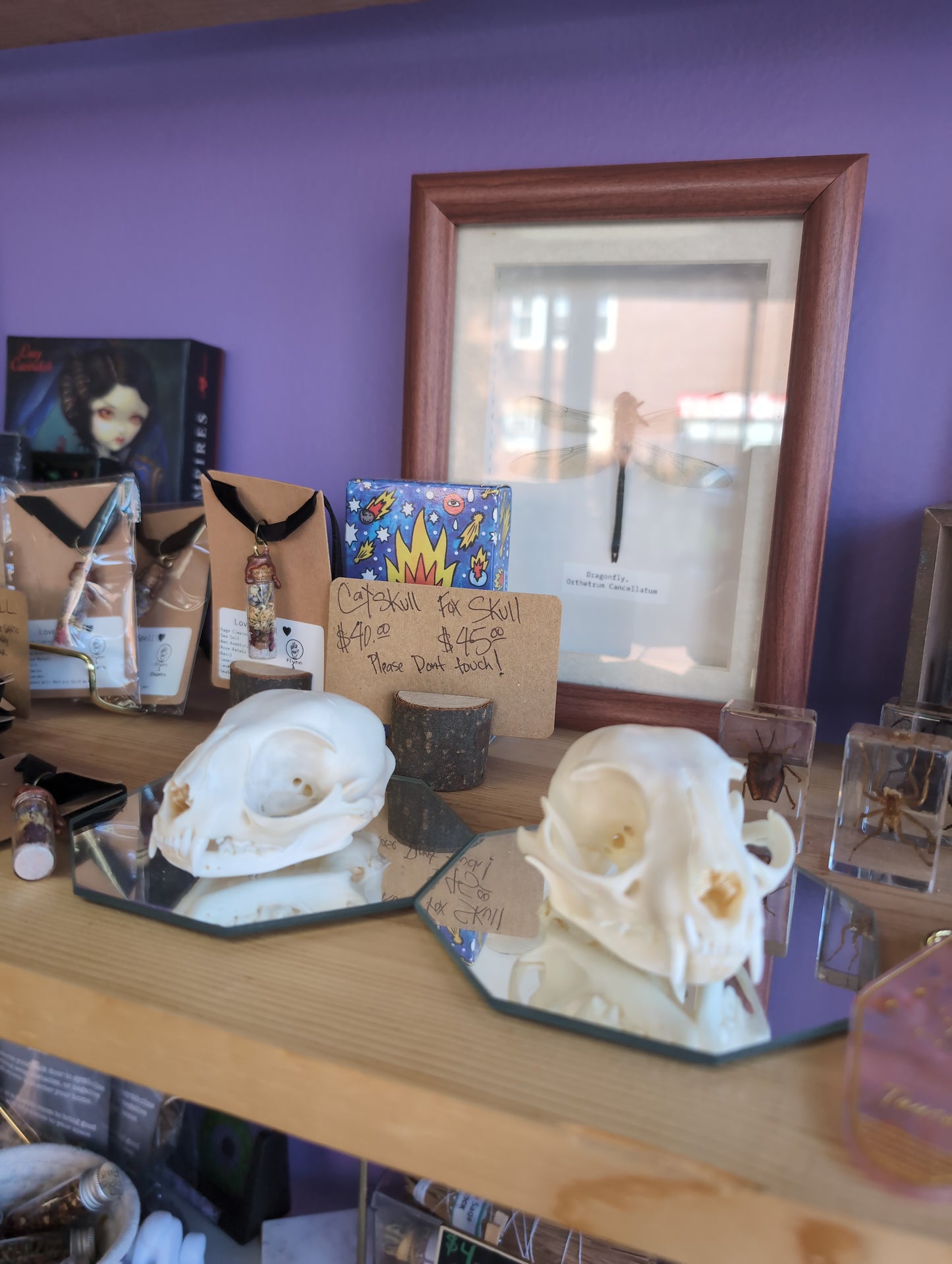 Cat jaw Skull @FlynnandPhoenix