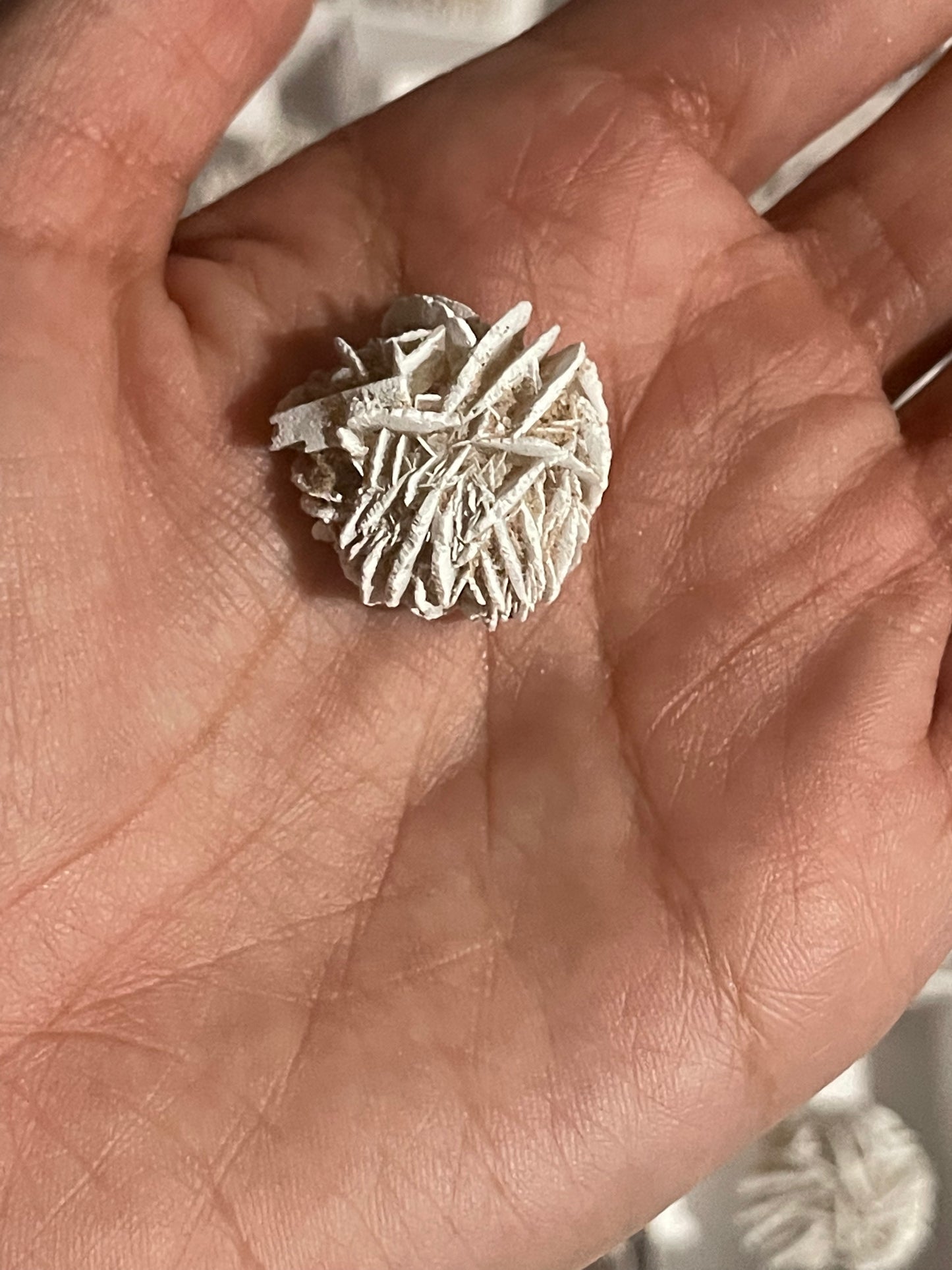 Desert Rose Selenite