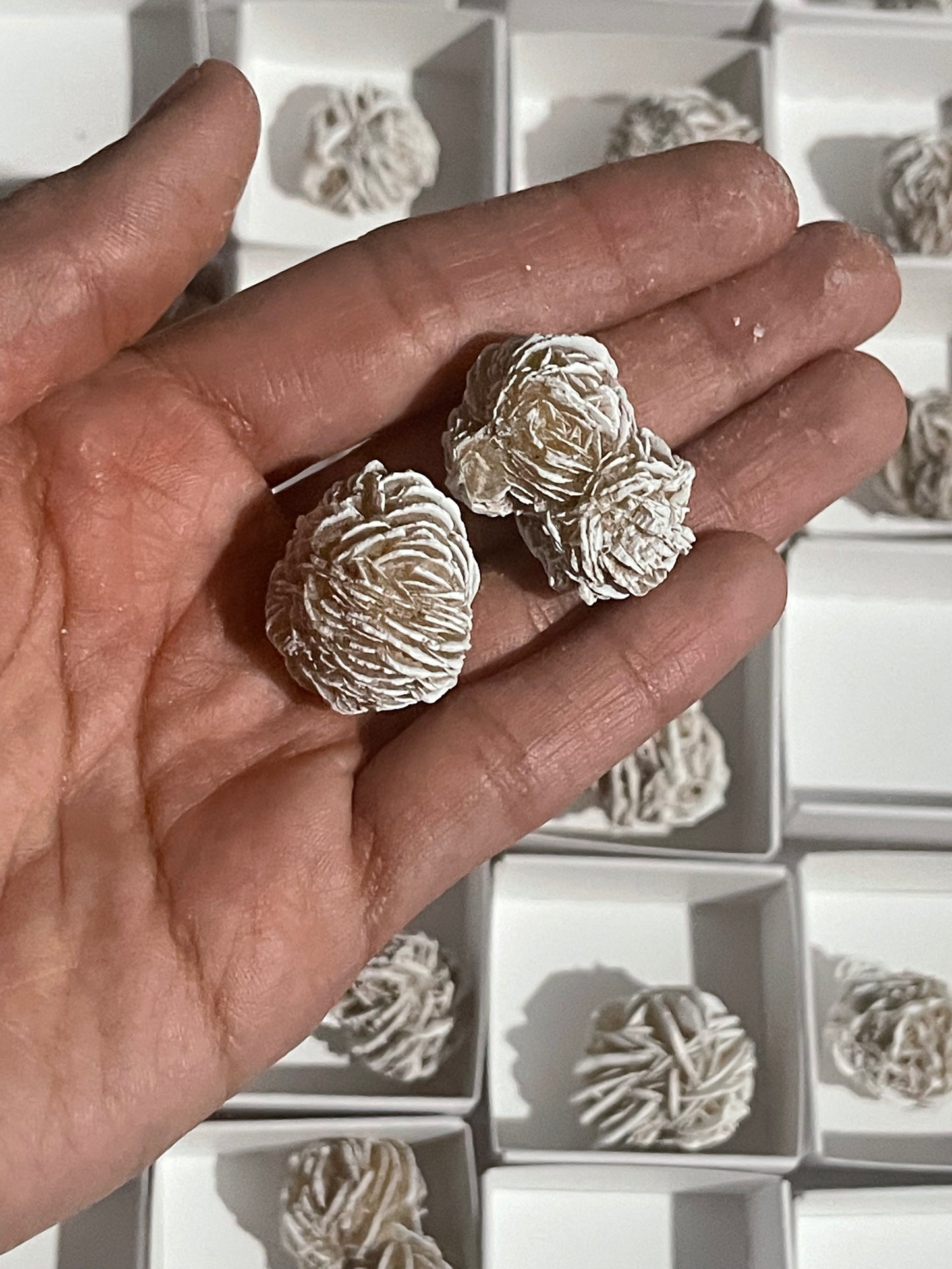 Desert Rose Selenite