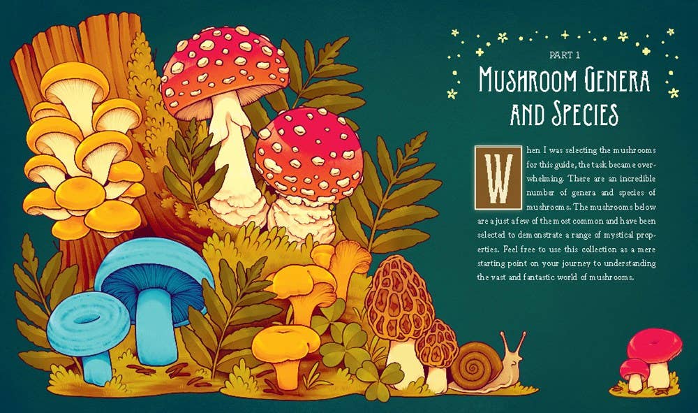 Mushroom Magick by Shawn Engel