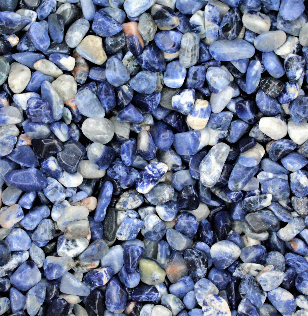 Sodalite 1 oz Chips