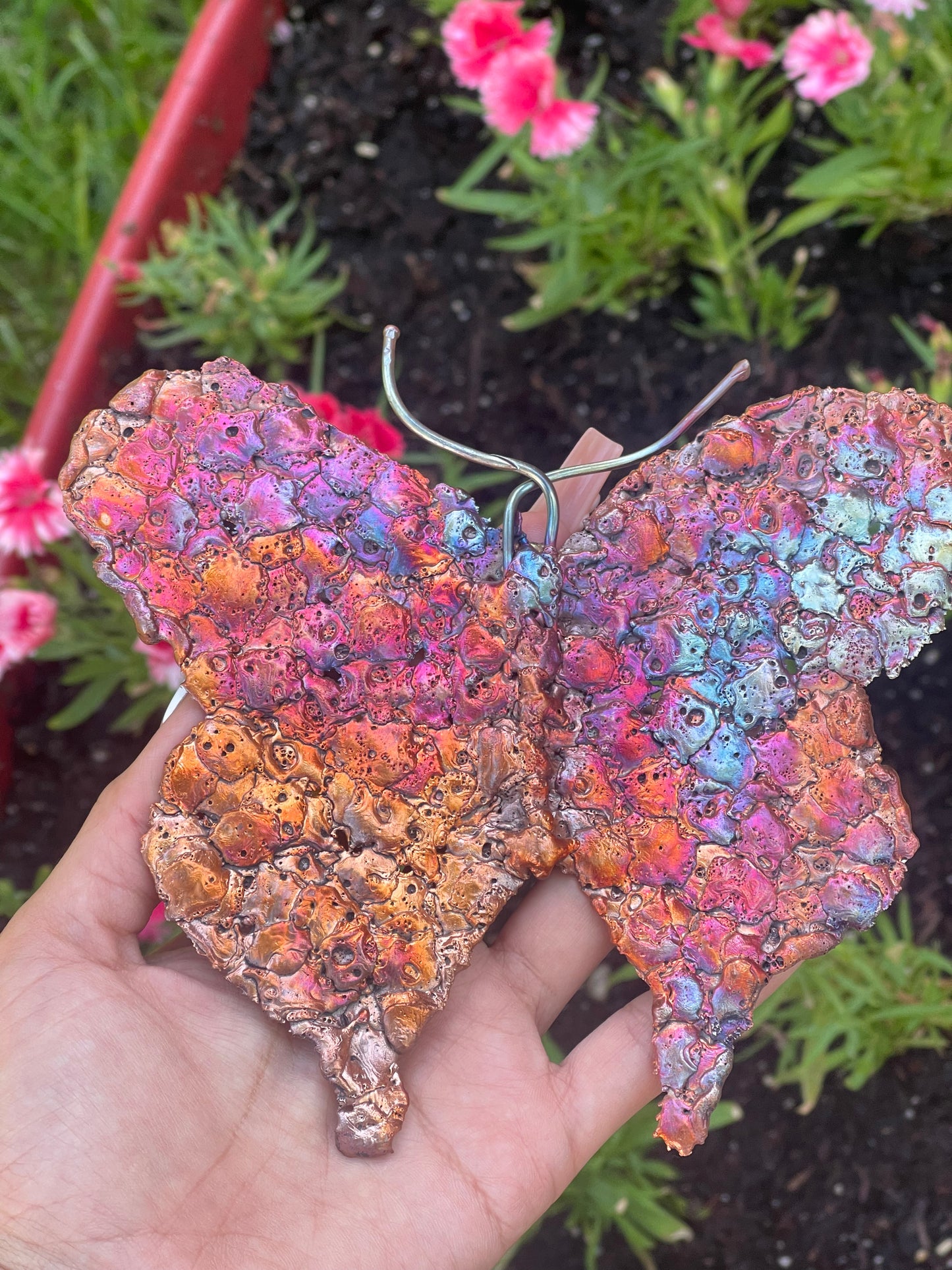 Butterfly Copper